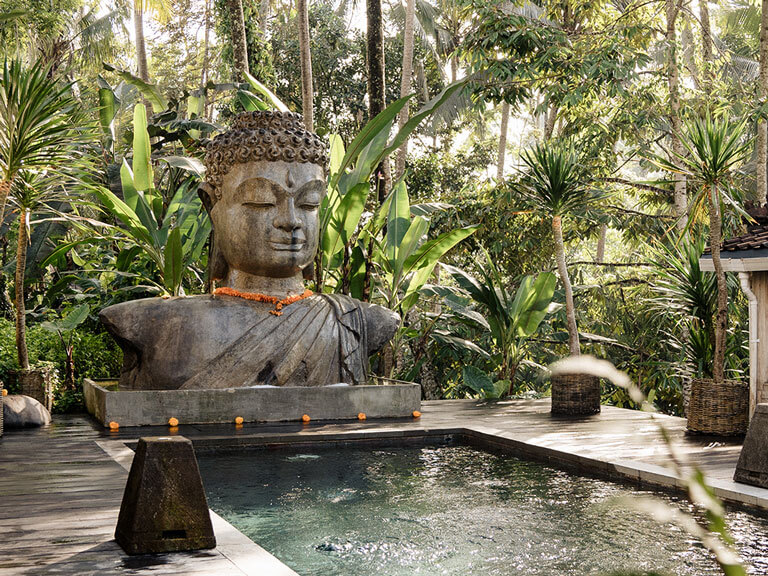 Femme-Soul-Pool-and-Buddha-Head